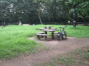 IMG_2837 IMG_2837
