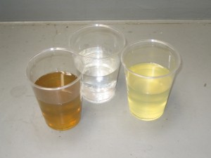 IMG_2844 IMG_2844