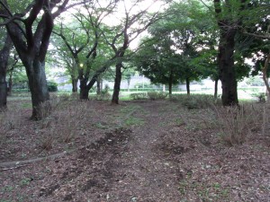 RIMG0003 すっきりした通路