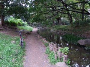 RIMG0003 川沿いの土道
