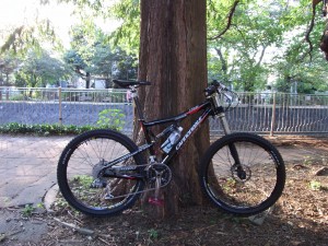 RIMG0003 Rize号の稼働率が上がってますね