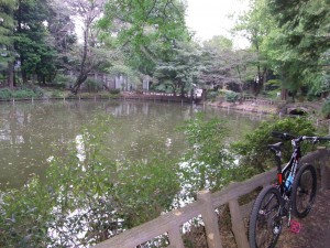 RIMG0005 神田川の水源