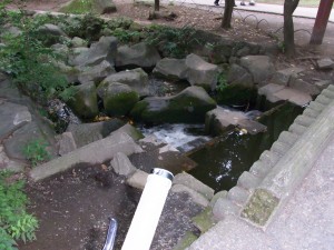 RIMG0006 川の始まり?