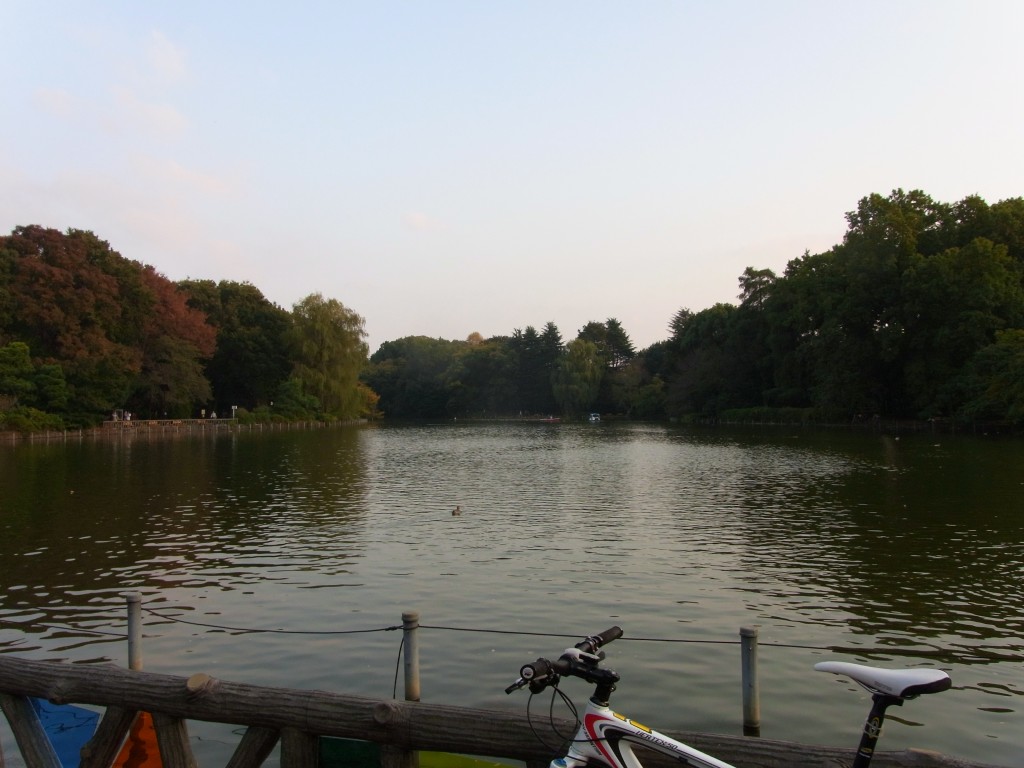 水源の公園にて