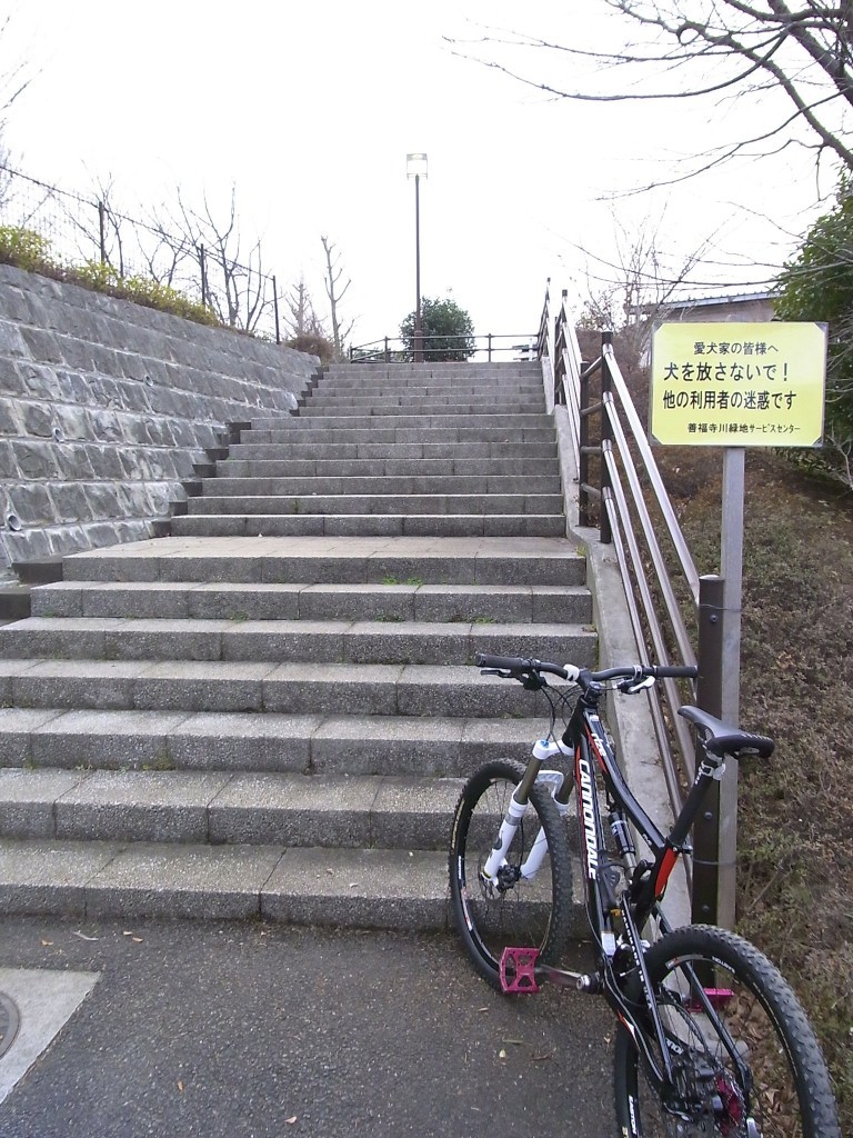高台になった公園の階段(1)