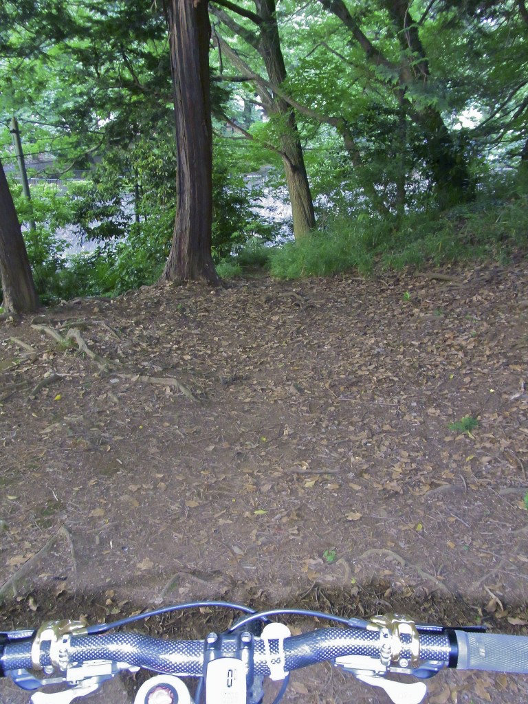 最近練習し始めた仮想登山道ですが…