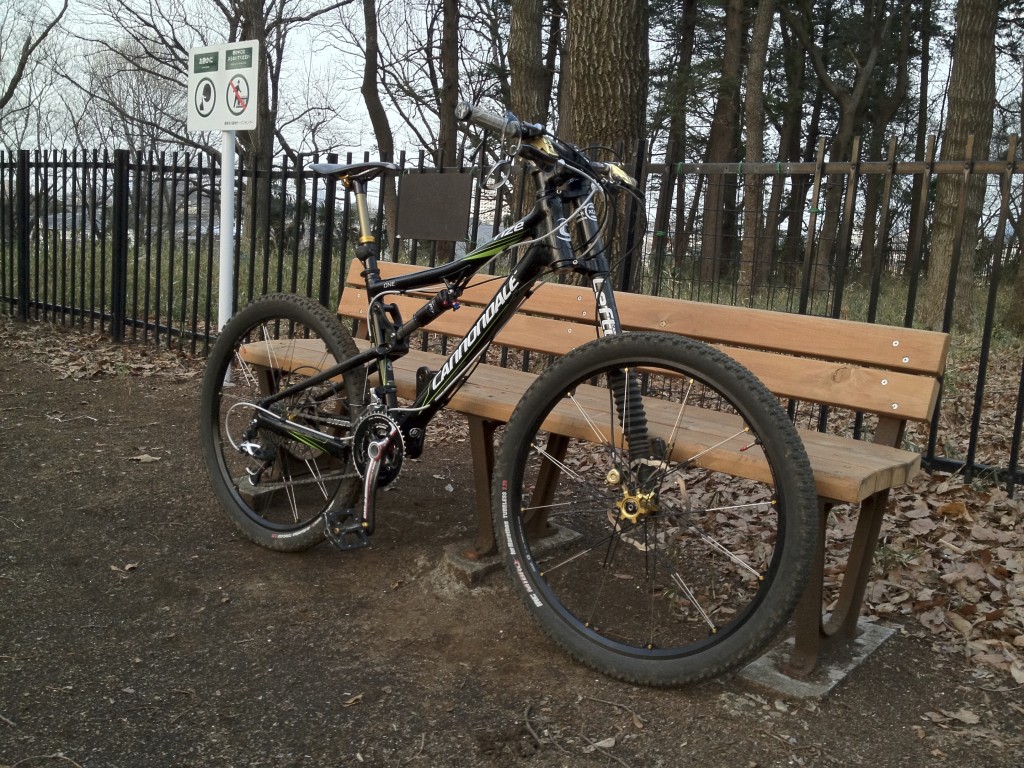 Cannondale Rize One Forty