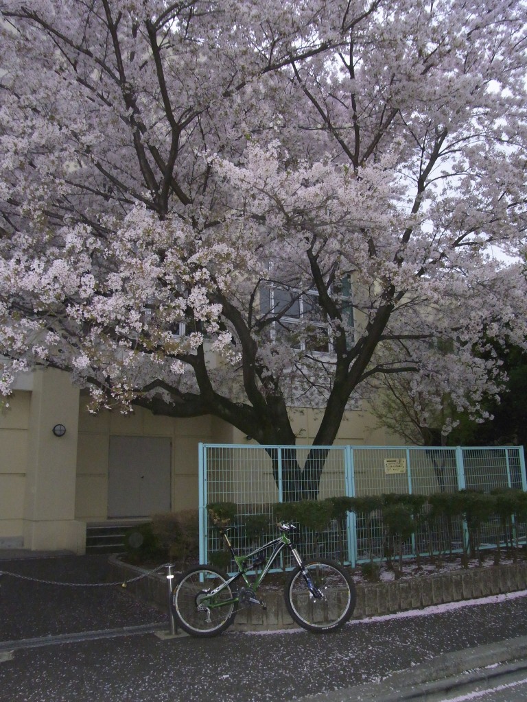 少し重いけど、どこでも使える感じ