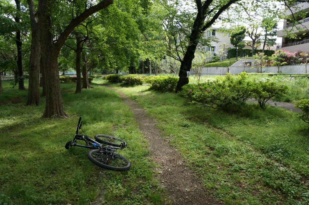 帰りにはここの草もなくなっているかも