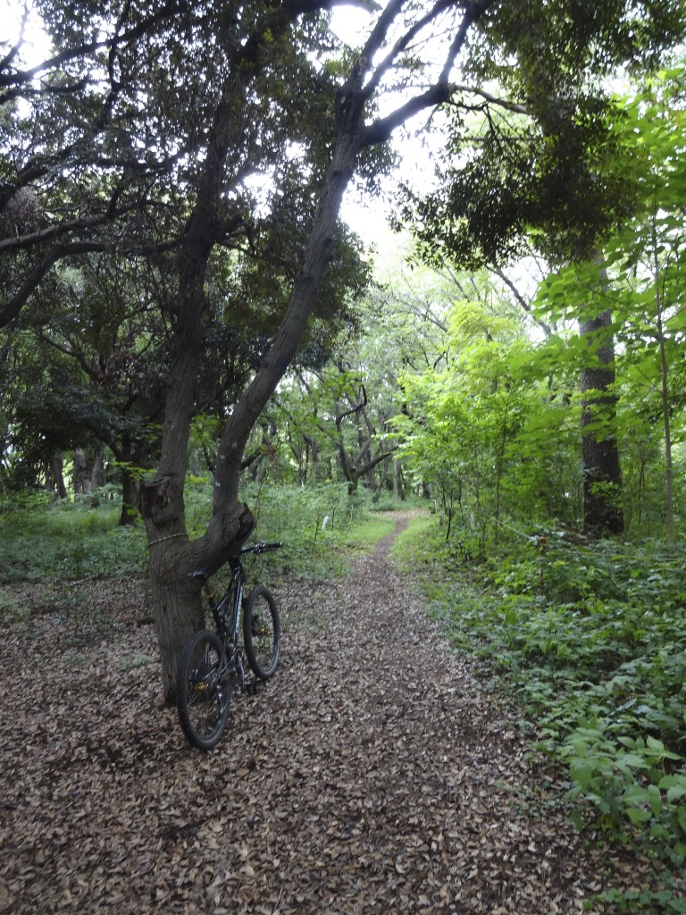 細い通路のほうが楽しいかな