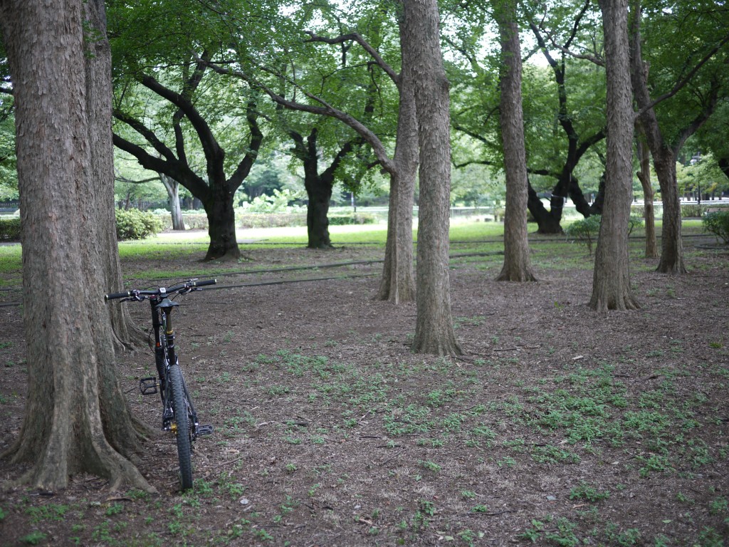 上流の公園にて