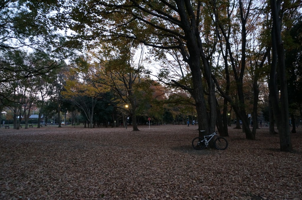 今日はゆっくり走れました