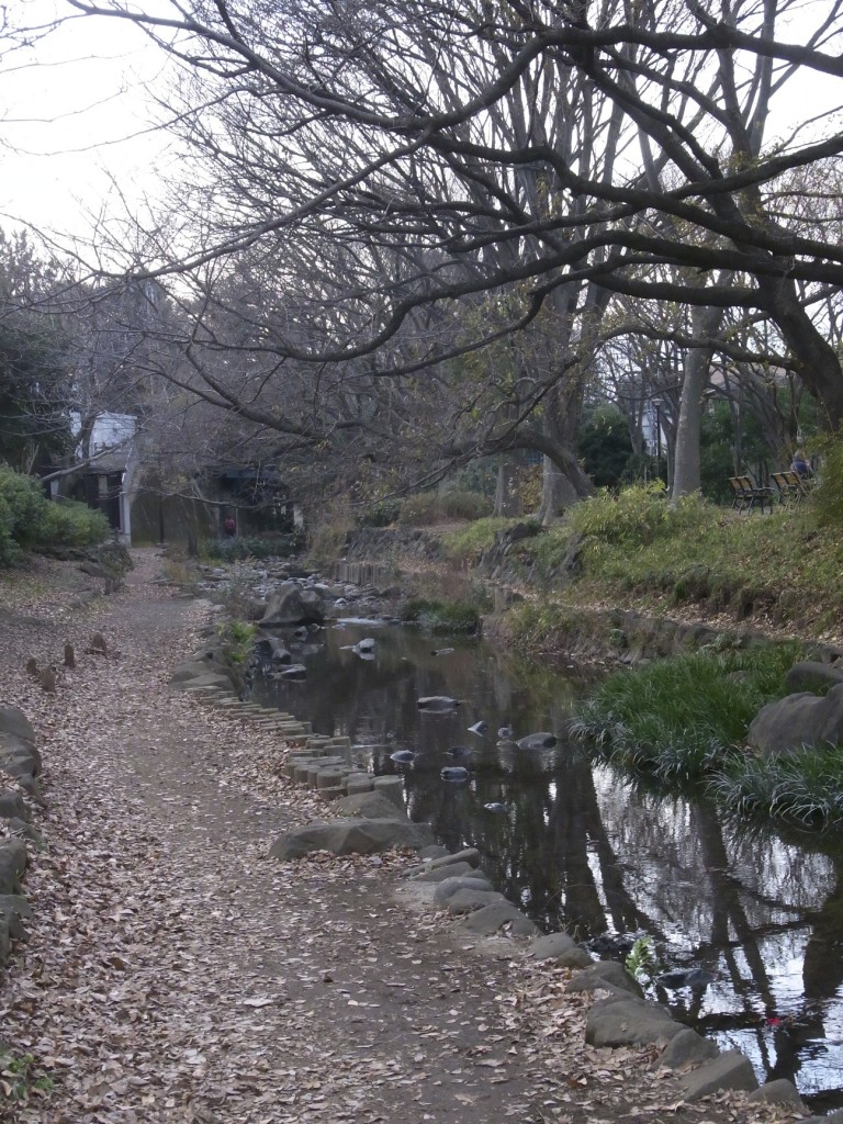 神田川の上流