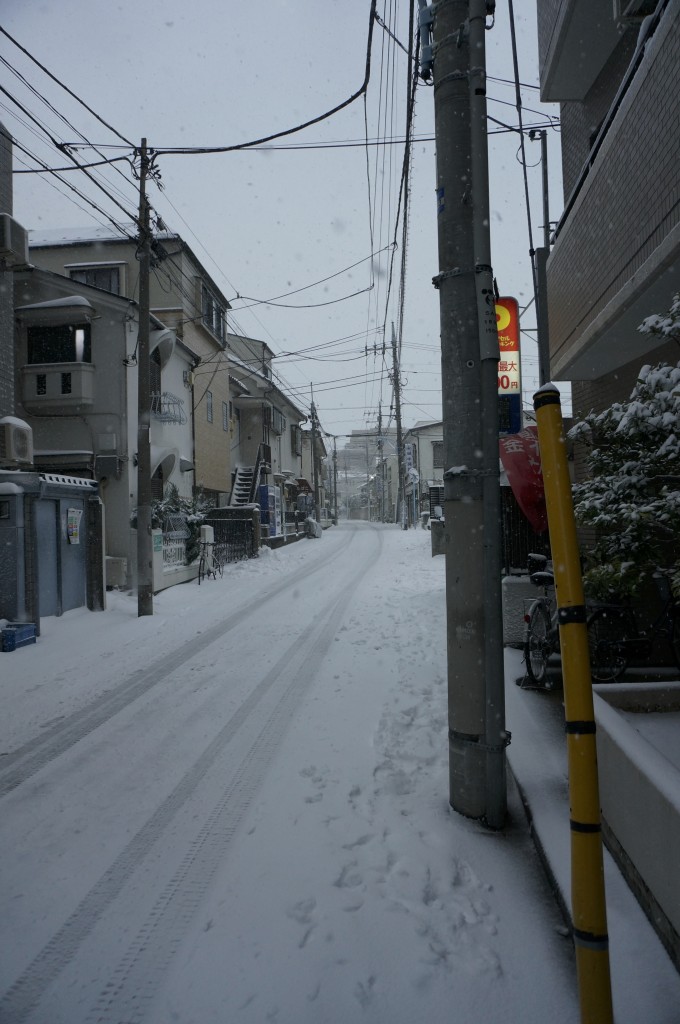 久々の積雪です