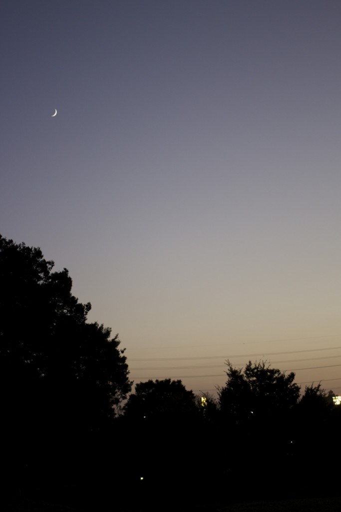 夕日ヶ丘からの月