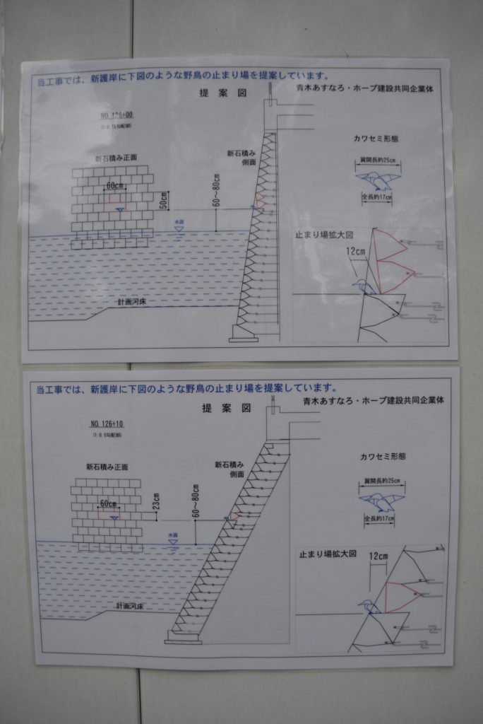 カワセミ池の周辺は