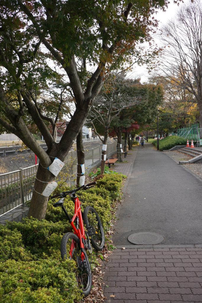 河岸の遊歩道