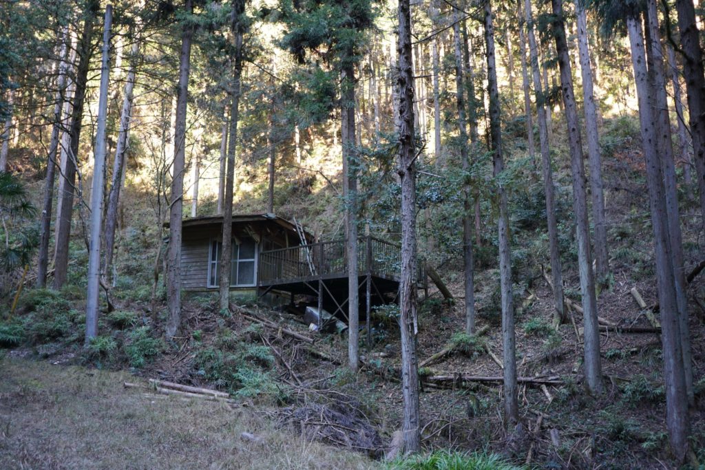 山小屋(?)の出迎え
