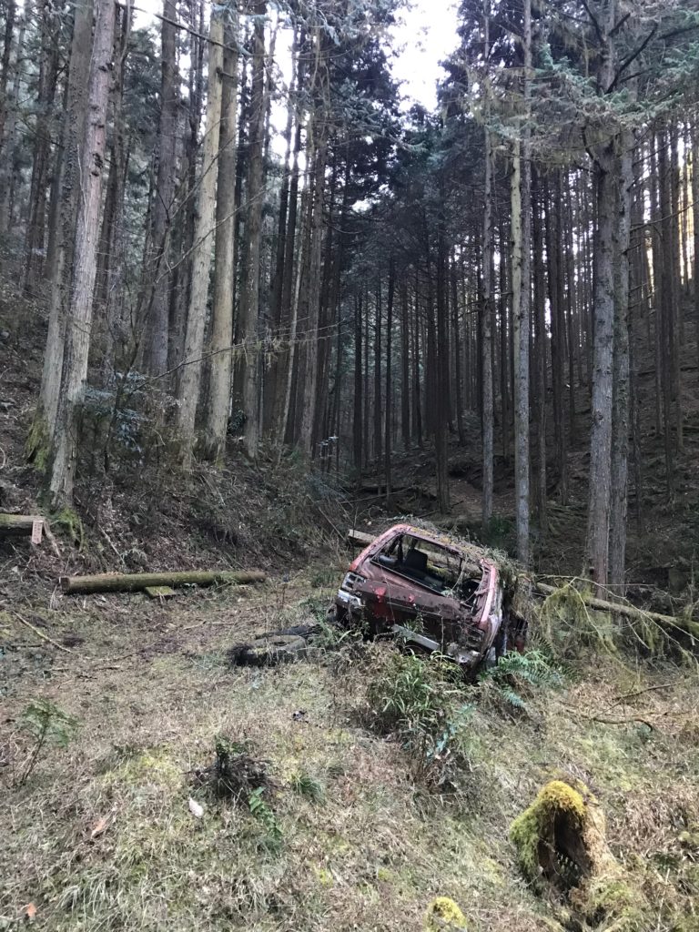 トレイルの入口