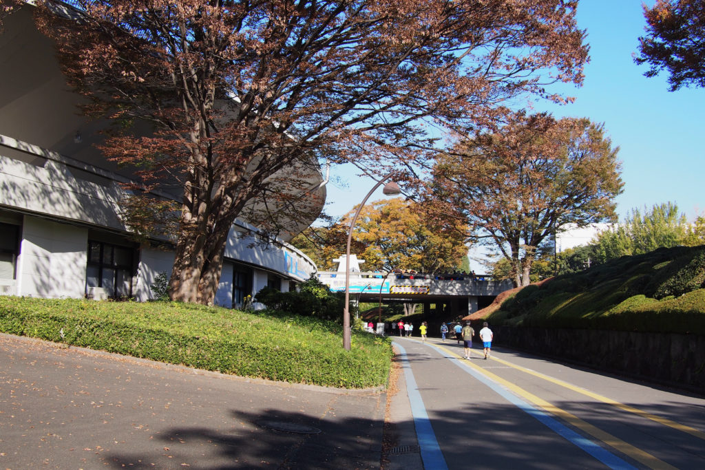 駒沢オリンピック公園の競技場