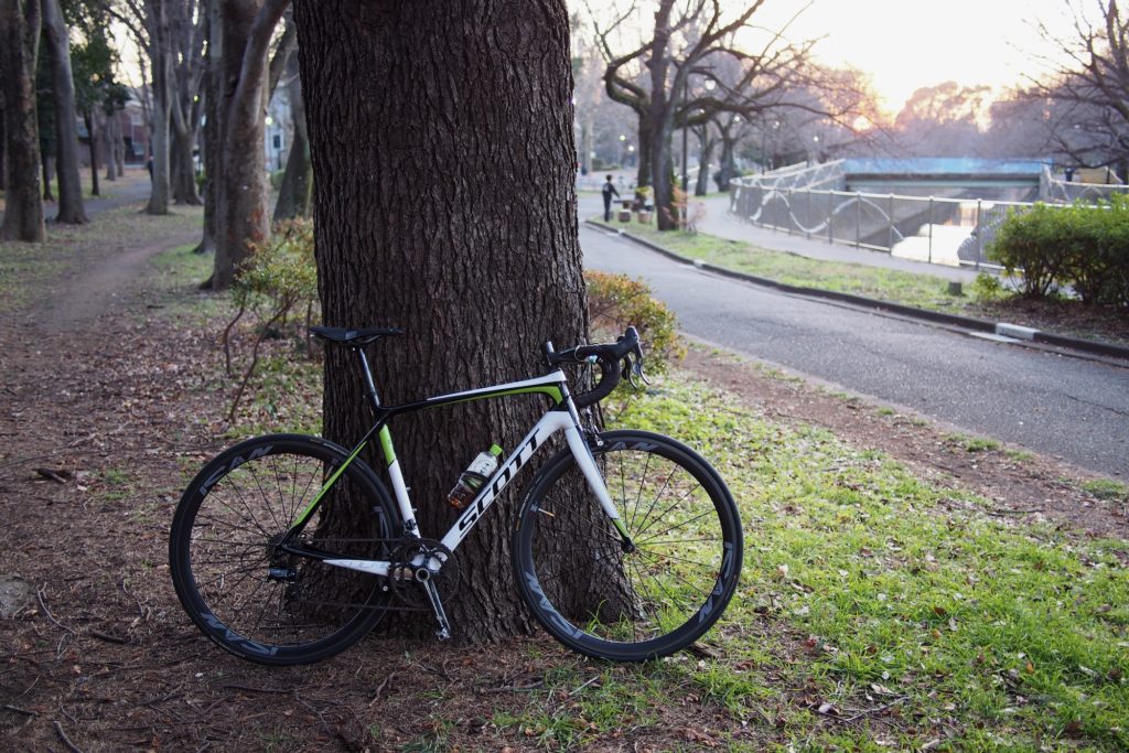 善福寺川緑地の旧サイクリングコース
