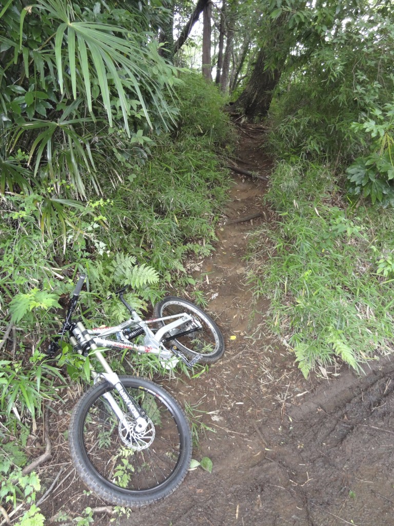 熟成された感があるウェット路面 熟成された感があるウェット路面
