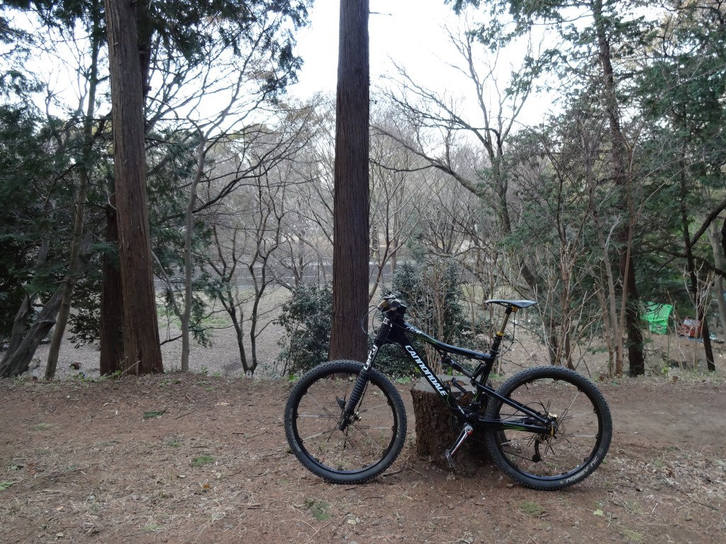 cannondale rize 140の復権