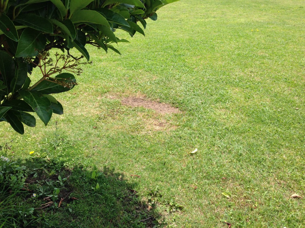 私が凹ましてしまった…
