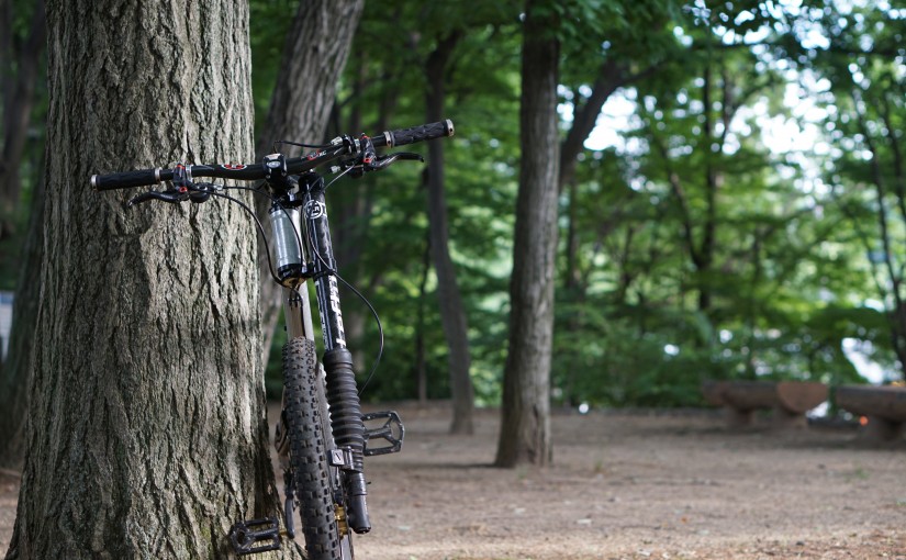 Cannondale Prophet