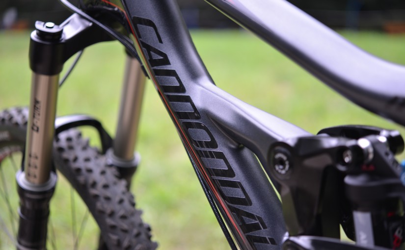 Cannondale愛を感じますね