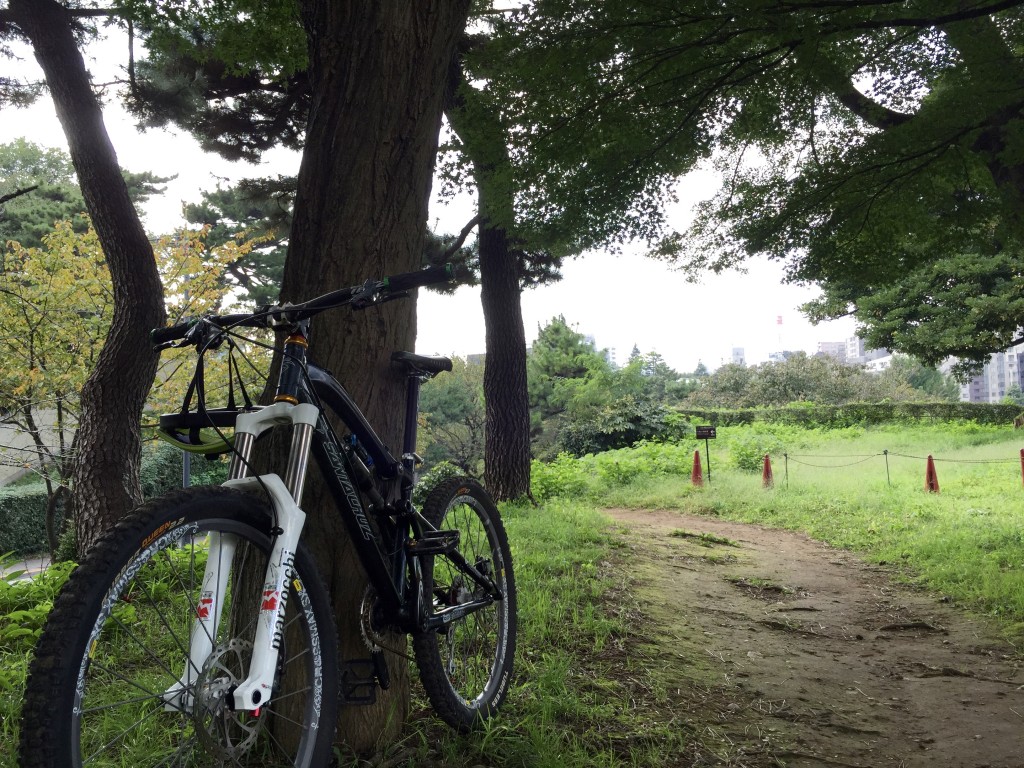 Santacruz Nomad