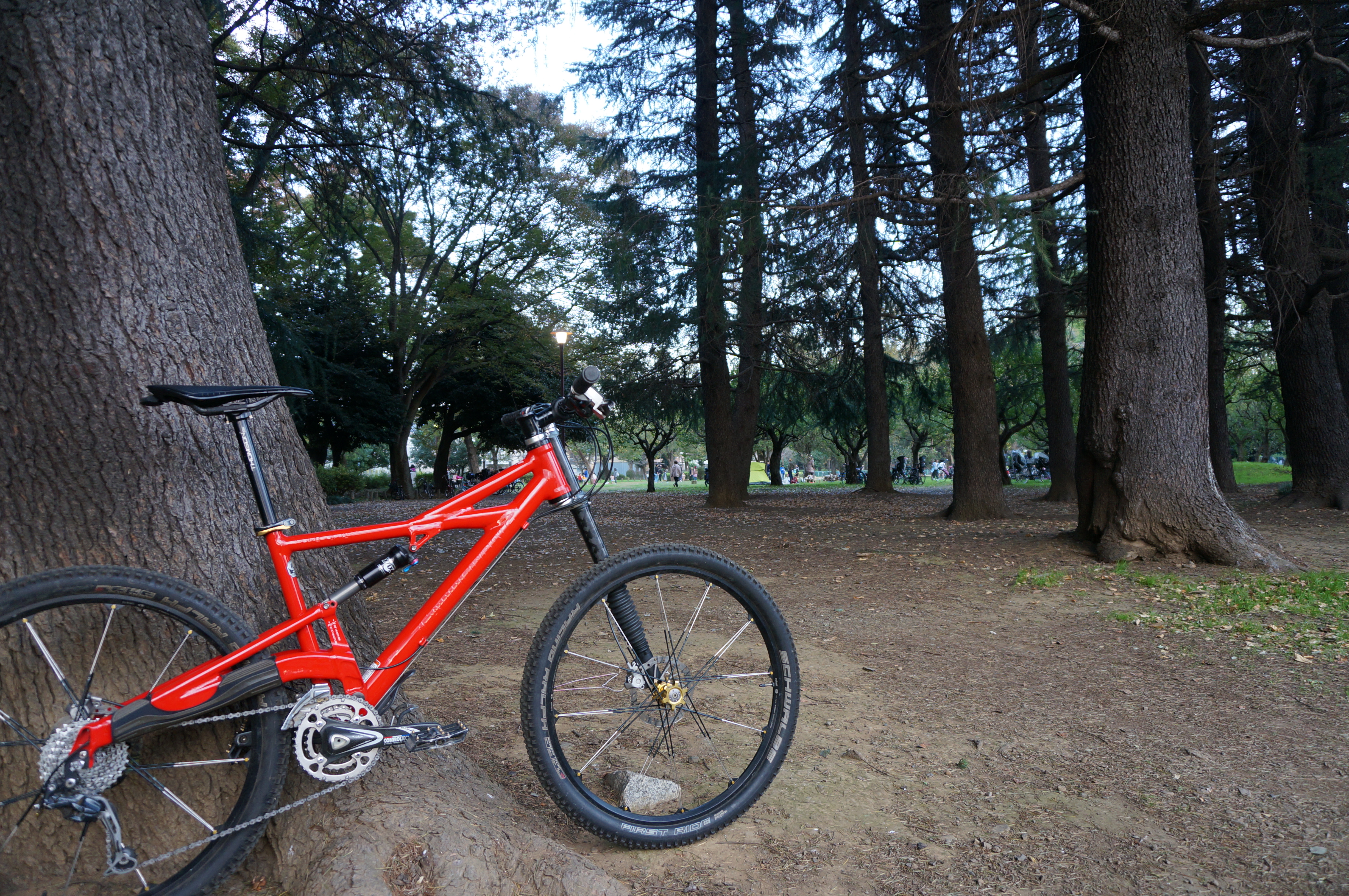 cannondale prophet 26