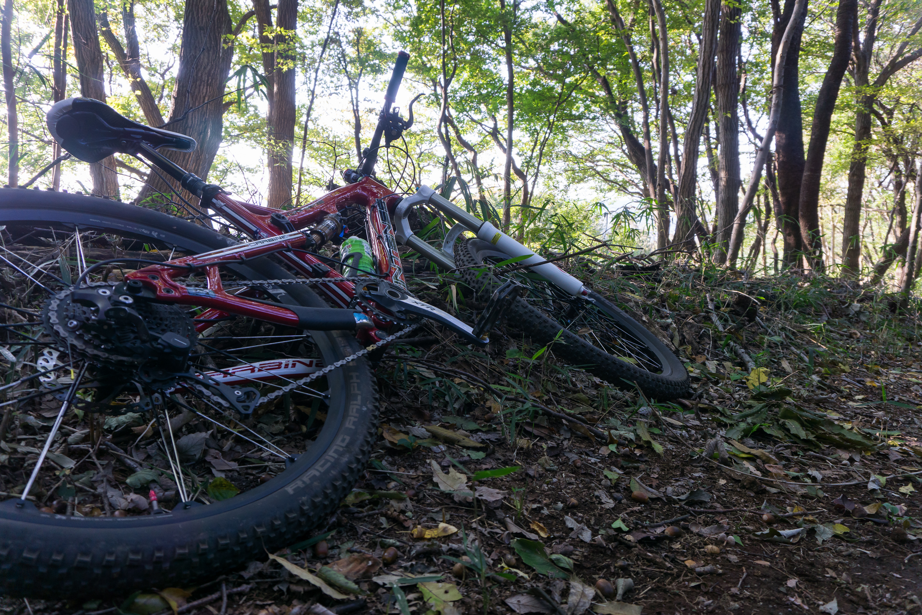M山