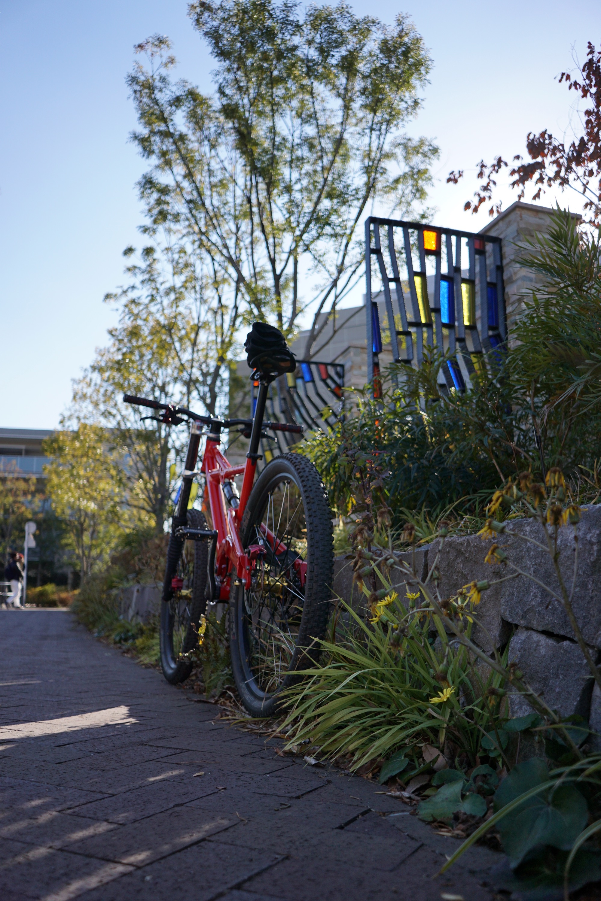 Cannondale Prophet 26er