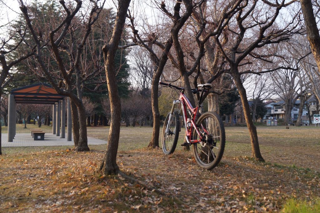 奥の景色に合焦しているのか、無限遠に合っているのか