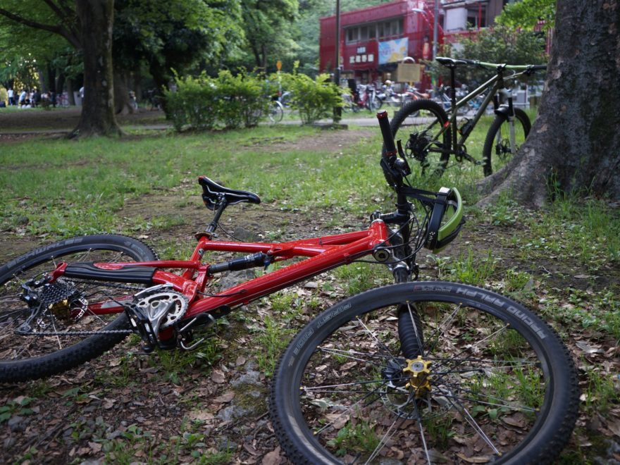 Cannondale Prophet