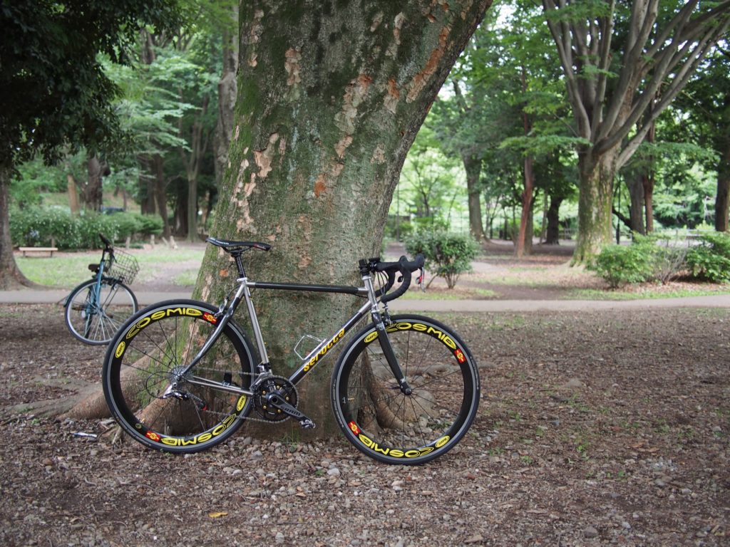 SEROTTA