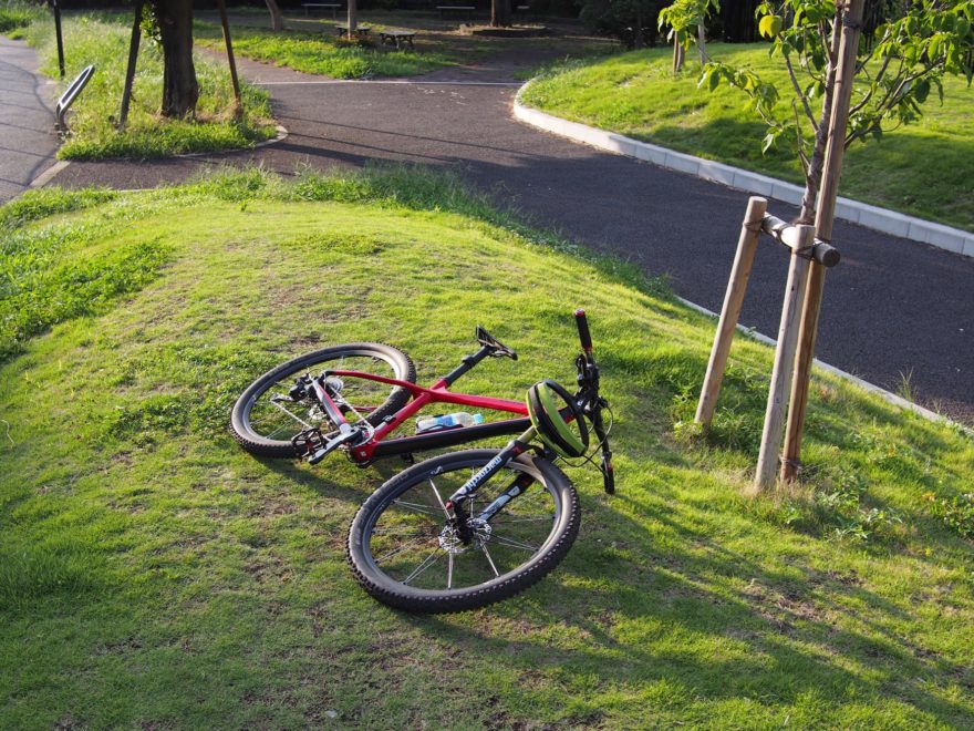 近所の公園を一回り
