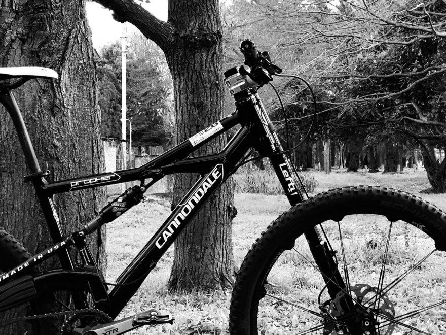 Cannondale Prophet 275