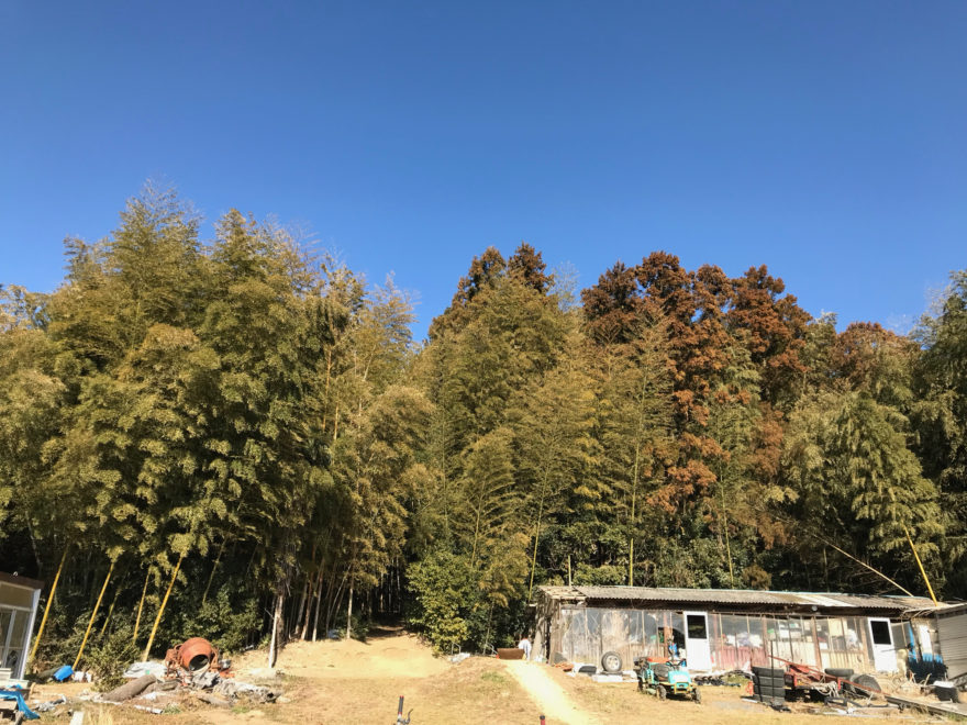 高峰MTBワールド