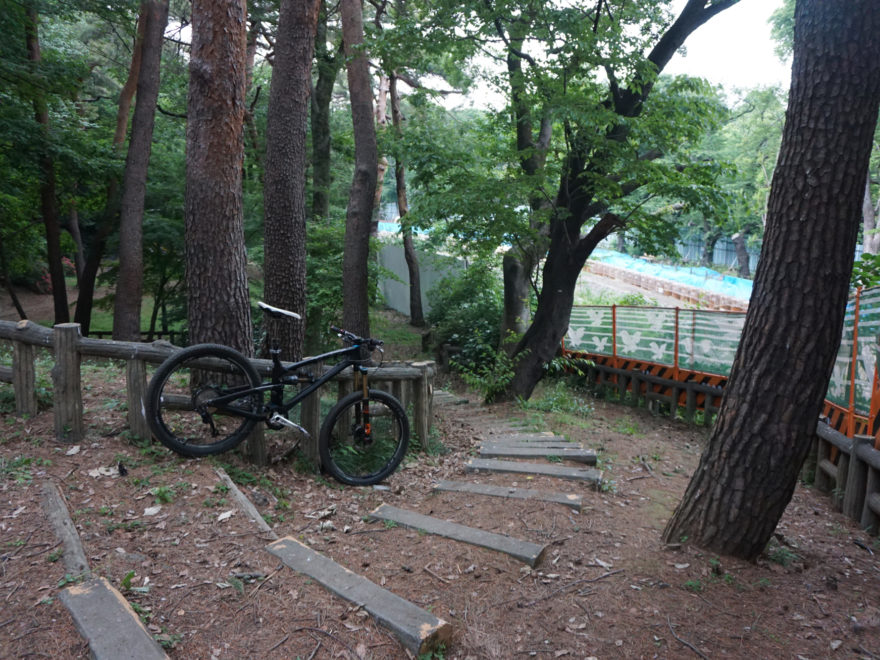 YETI SB66C