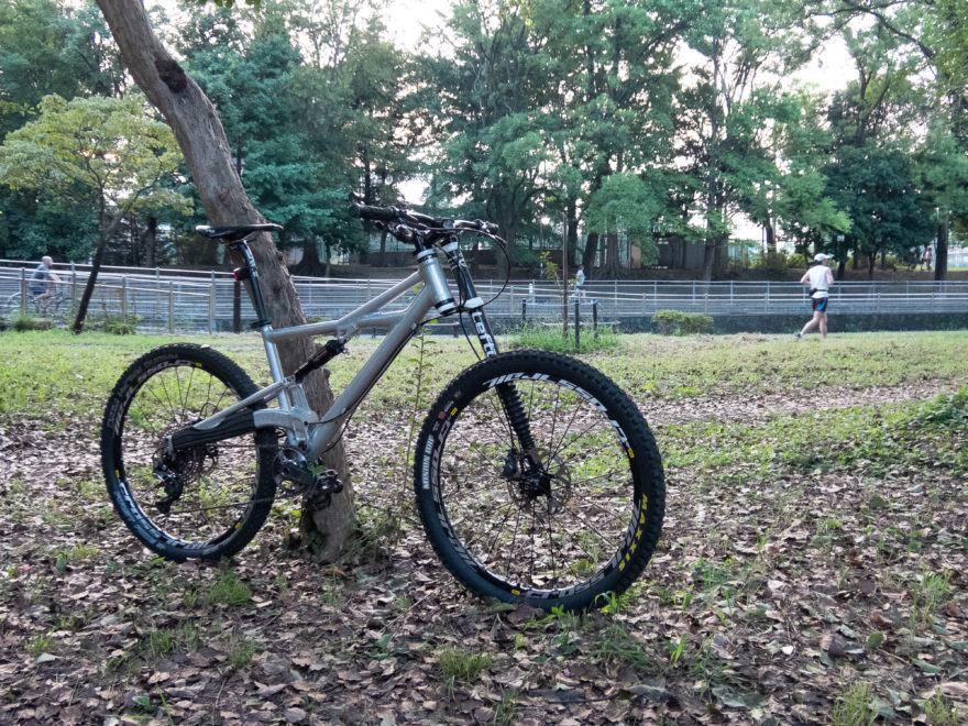 Cannondale Prophet 2000
