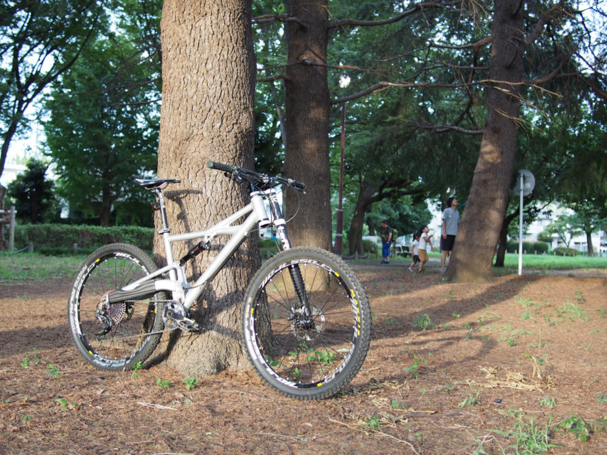 Cannondale Prophet 2000