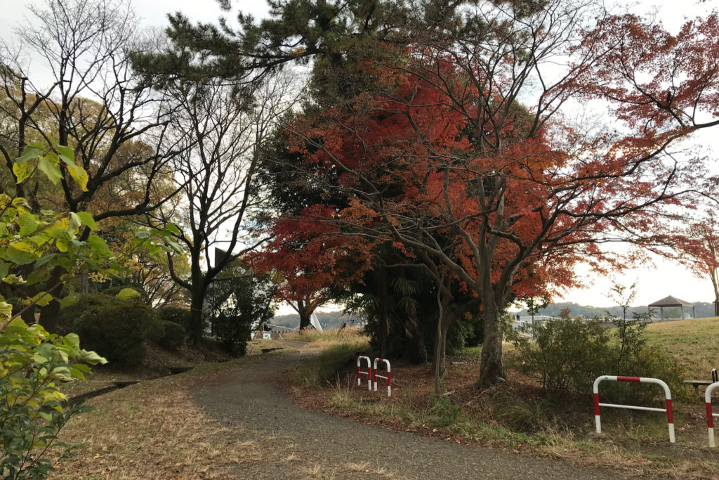 狭山公園