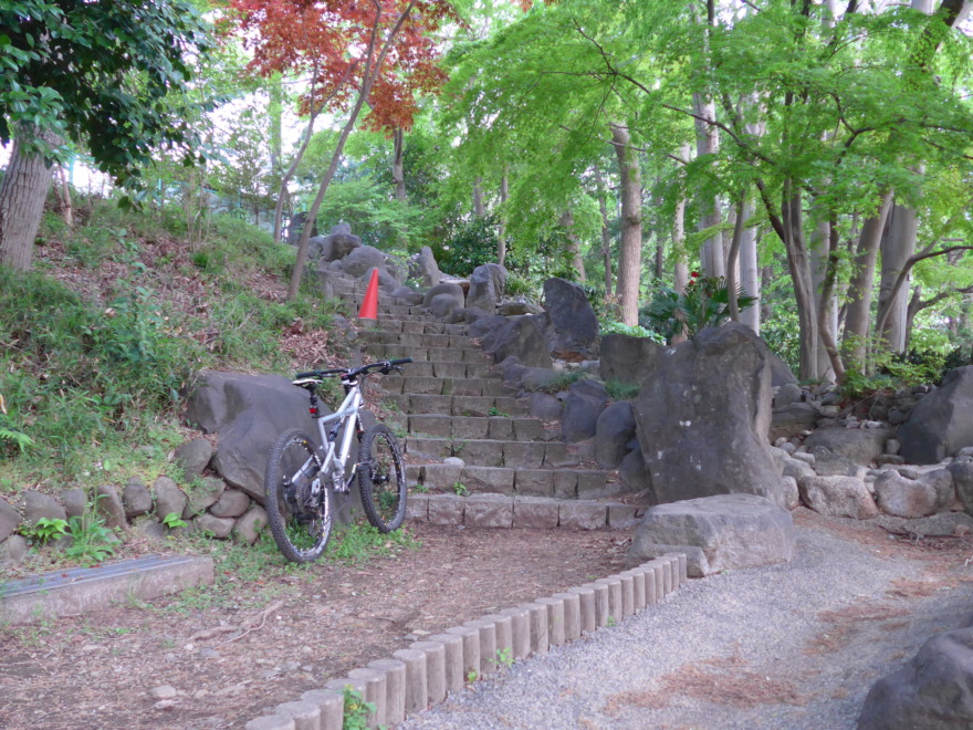 Cannondale Prophet 階段下