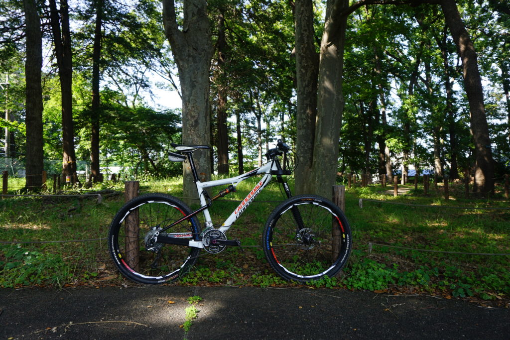 Cannondale Rize One Carbon 2009