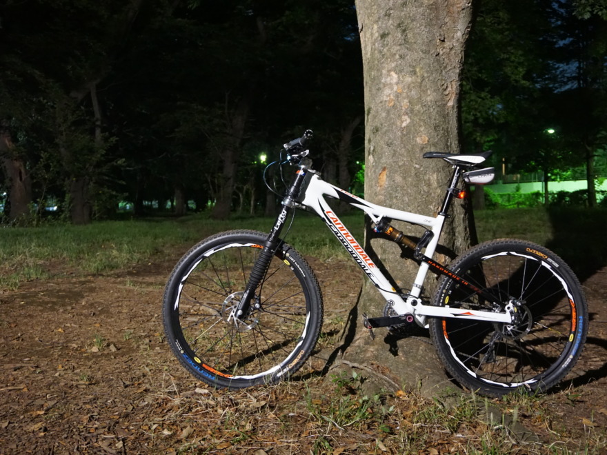 cannondale rize