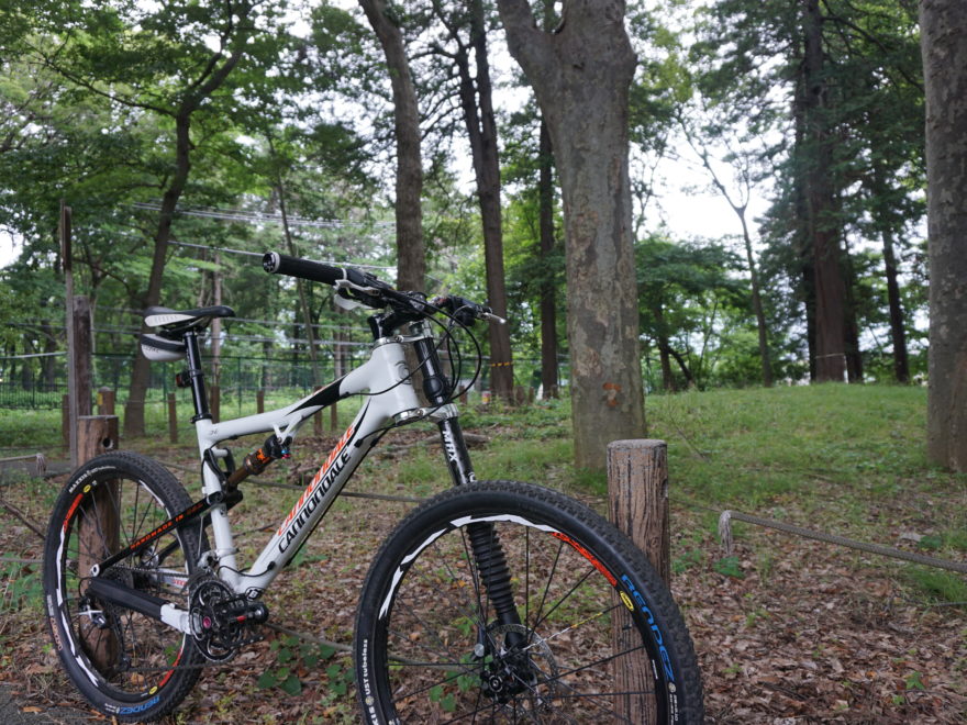 cannondale rize one carbon