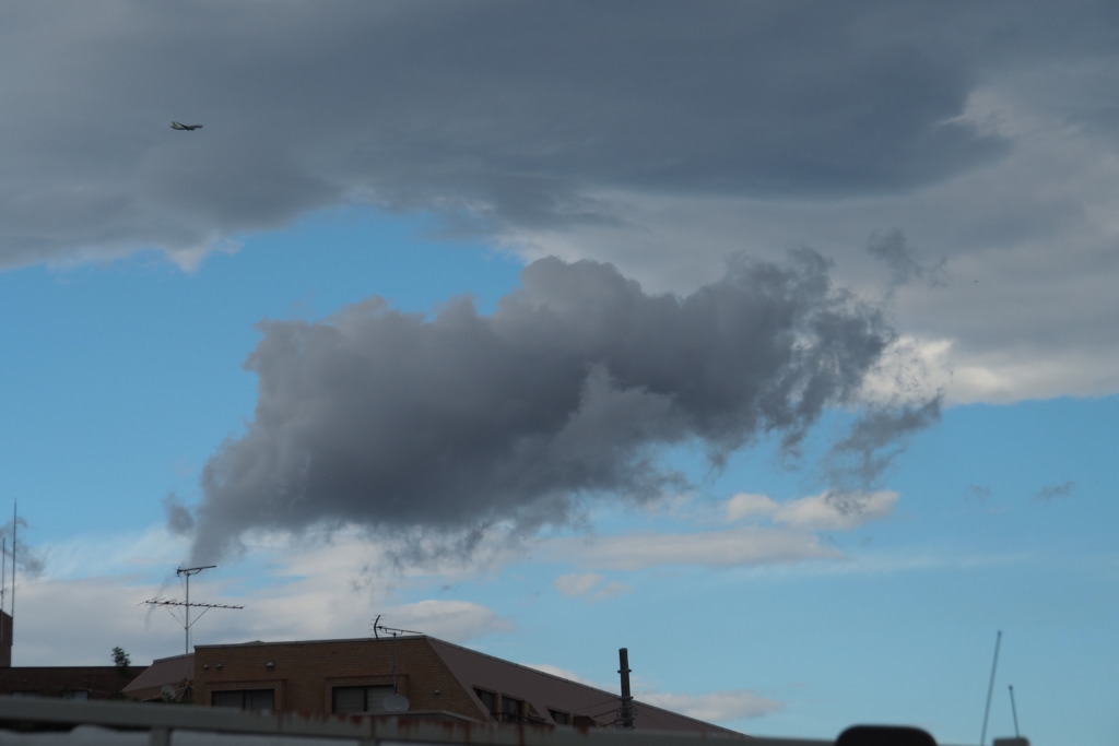 遠くから見てバッファローに見えた雲