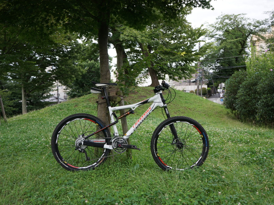 cannondale rize